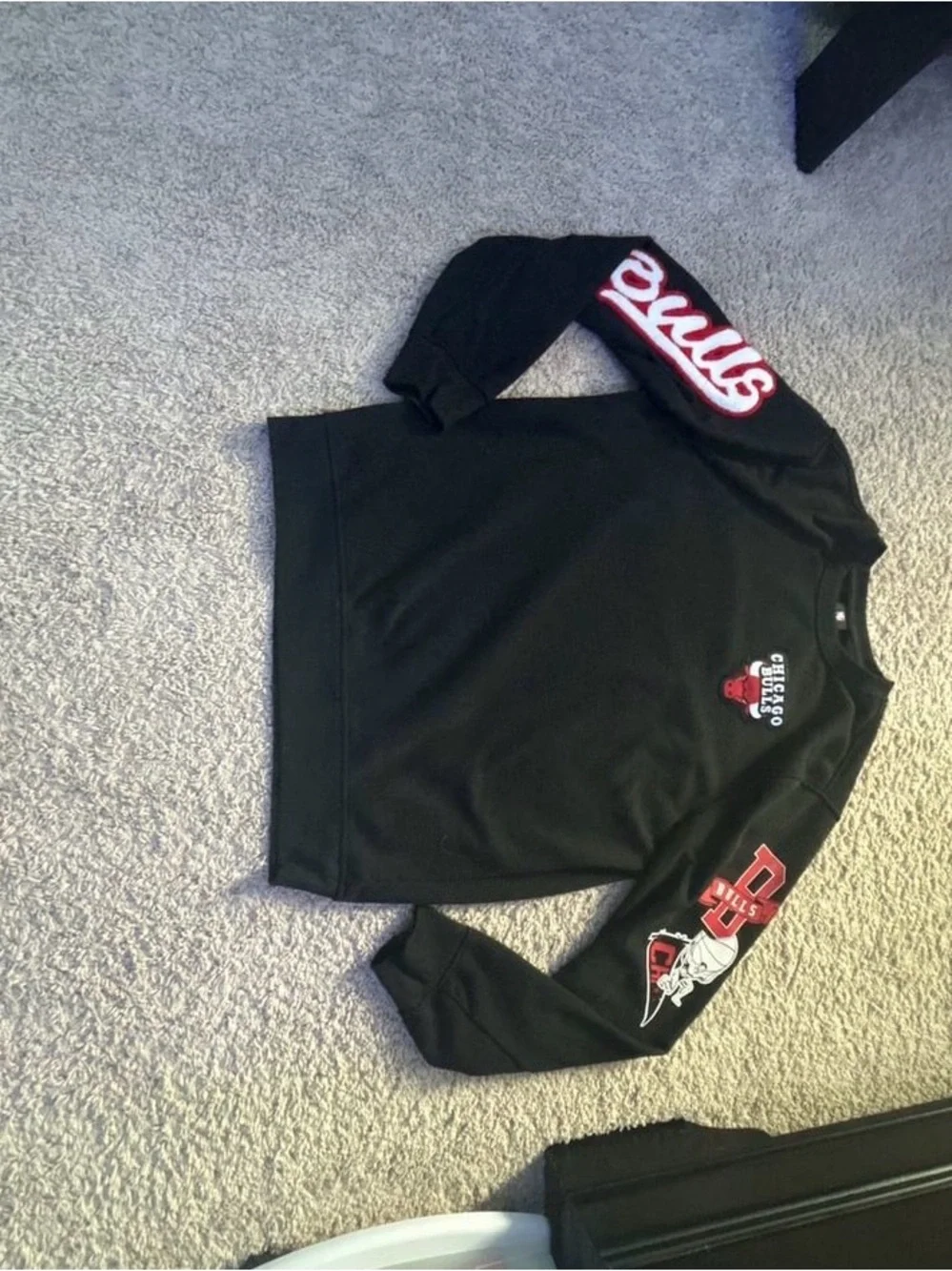 Chicago Bulls NBA Logo Graphic Long Sleeve Crewneck Sweatshirt